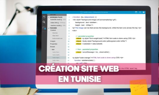 Création site web en Tunisie